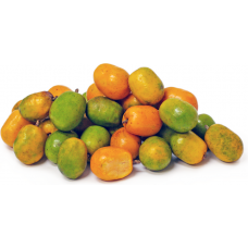 June Plum (Pack of 3)