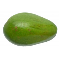 Avocado Dominican Each