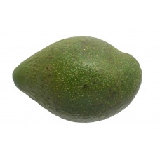 Avocado Ugandan Each