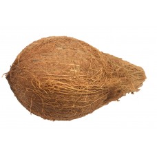 Dried Coconuts Each