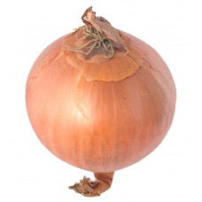 Onions (Pack of 3)