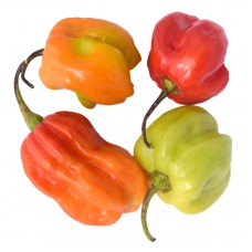 Scotch Bonnet Peppers (Pack of 5)