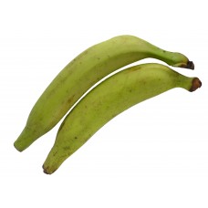 Green Plantain (Pack of 3)