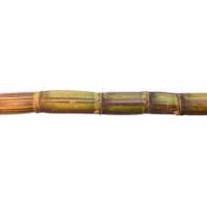 Sugar Cane (1 piece)